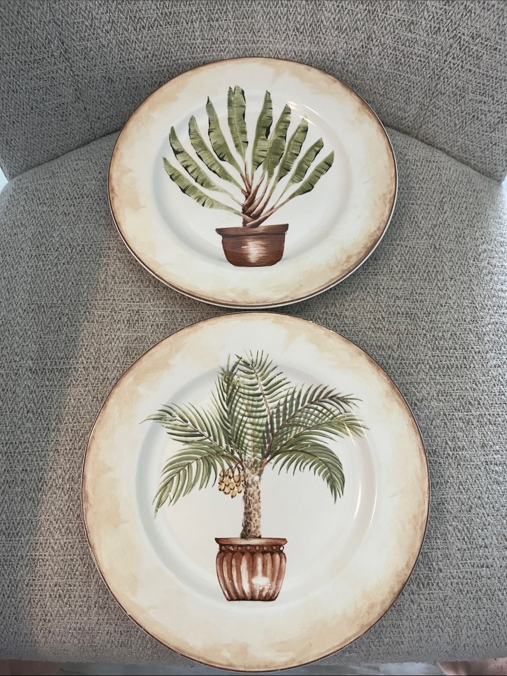 2 Tropical Palm American Atelier porcelain salad plates potted palm trees 8”